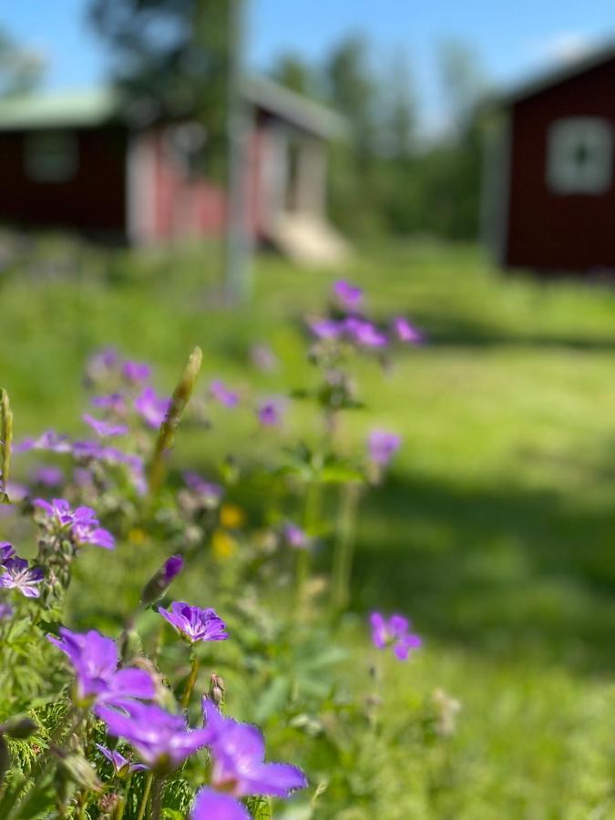 Taenndalens Stugby Villa ภายนอก รูปภาพ